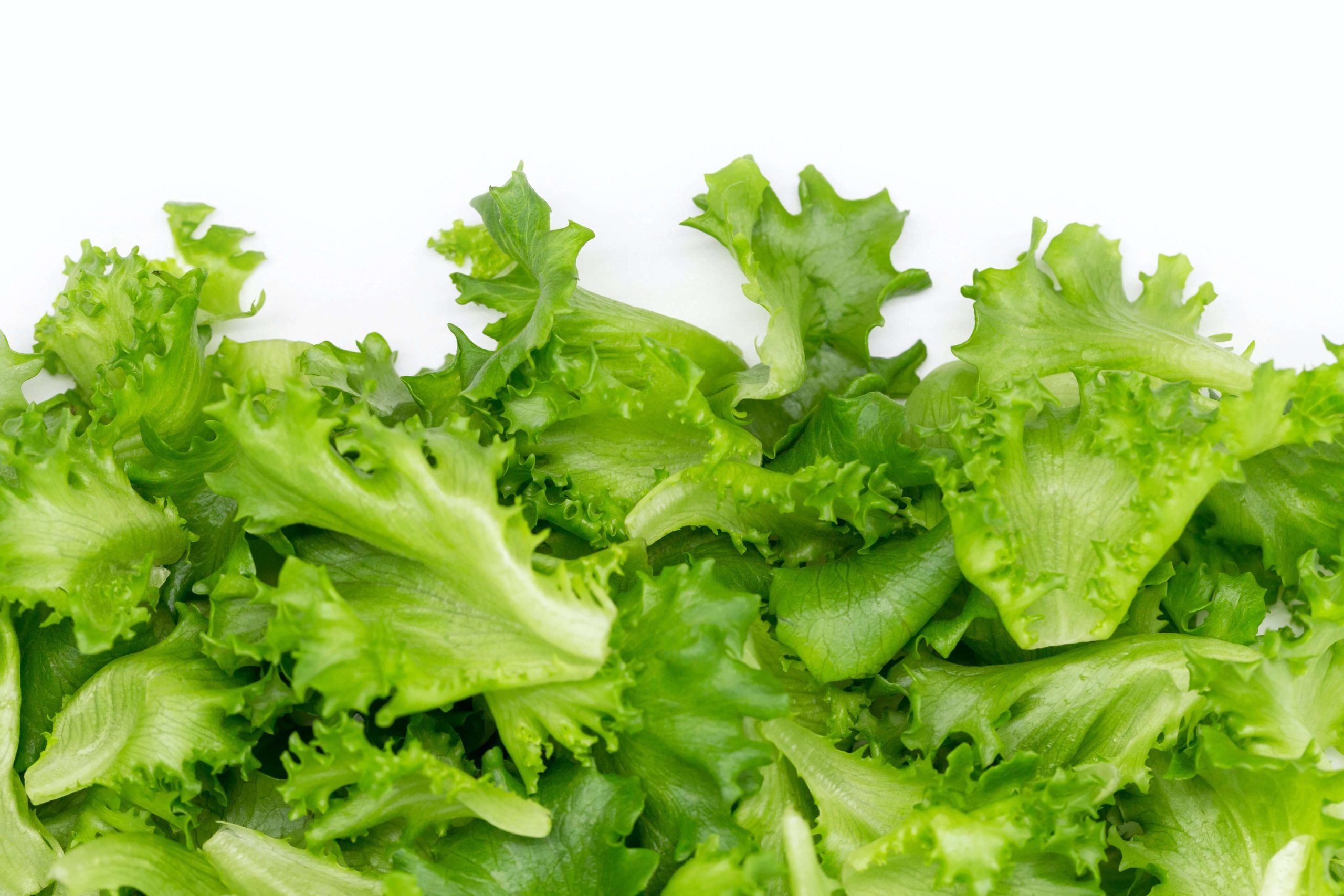 Expert Tips: How Do Restaurants Keep Lettuce Crisp and Fresh?